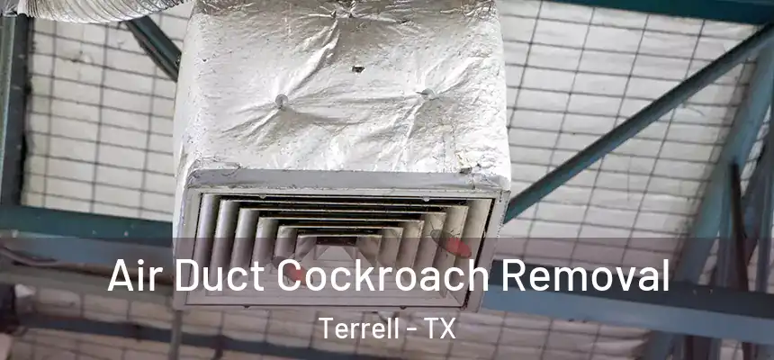  Air Duct Cockroach Removal Terrell - TX