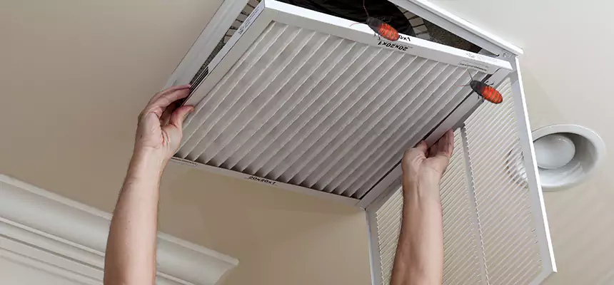 Preventive Cockroach-Proofing for Ducts in Terrell