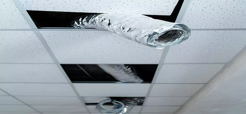 Our Air Duct Pet Hair Removal Services in Terrell, TX