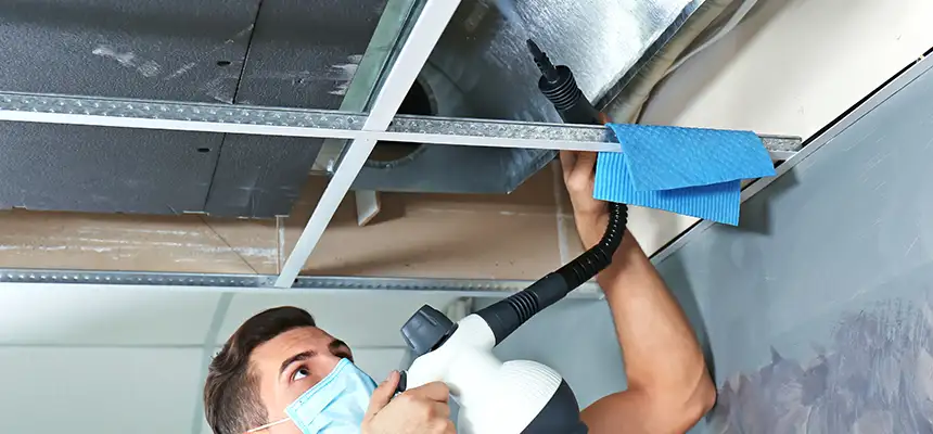 Our Air Duct Rodent Removal Services in Terrell, TX