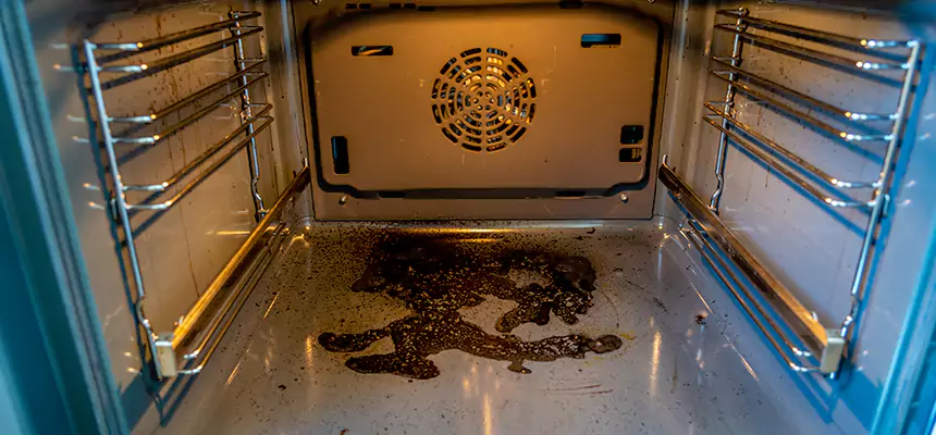 Our Dryer Vent Mold Cleaning Services in Terrell, TX