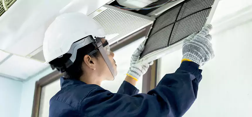 Our Mold & Mildew Removal from Air Ducts Services in Terrell, TX