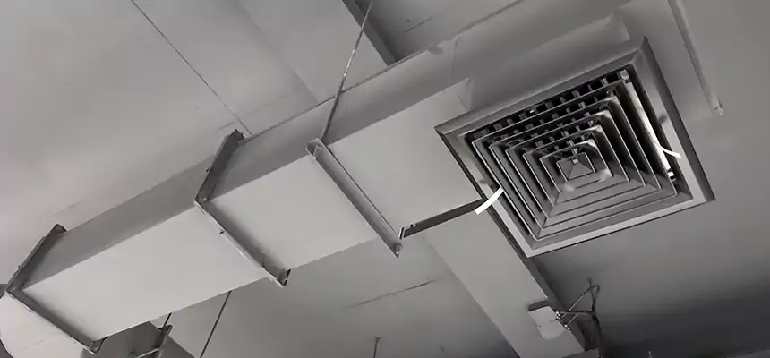 Our Pest Removal From Ducts Services in Terrell, TX