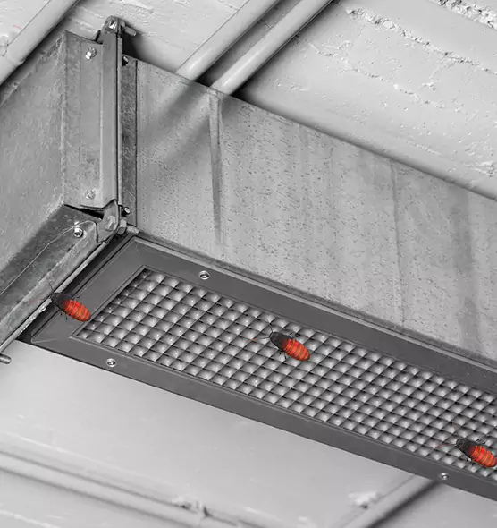 About Air Duct Cockroach Removal in Terrell, TX