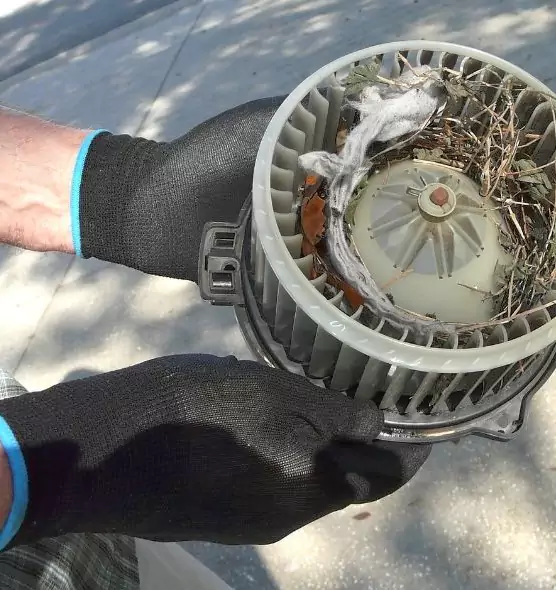 About Air Duct Mice Removal in Terrell, TX