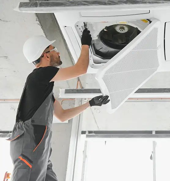 About Air Duct Rodent Removal in Terrell, TX