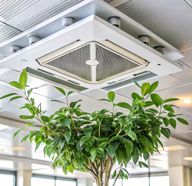 Why Homeowners & Businesses Trust Us in Terrell, TX