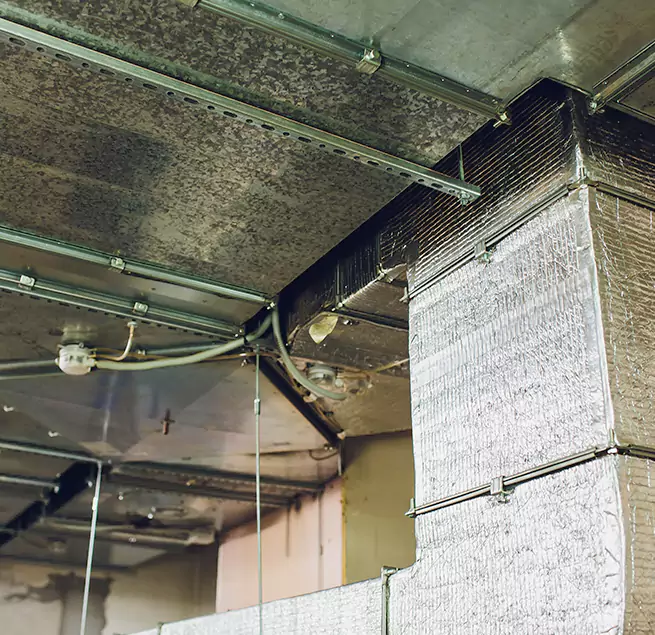 Why Homeowners & Businesses Trust Us in Terrell, TX?